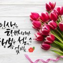 무작정 이미지