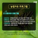 꿈꾸는물고기농원