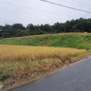 내흥리농장 이미지