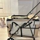 레인 켄넬 이미지