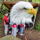 묘산초등학교 이미지