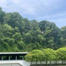 행정용 7 이미지