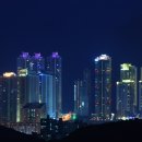 장산 Daum카페