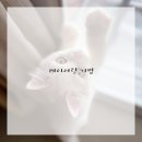 기본부터 쉽게 배우는 수채화 이미지