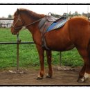 서광자연 이미지