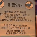 웨일코인노래연습장 이미지