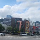 고민 행정사 사무소 네이버블로그