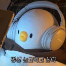 이모저모