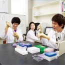 한국청소년체험세상