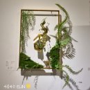 나비-일레라