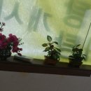 봉곡보신가든 이미지