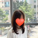 [강민경중단발레이어드컷] [서초동미용실]/서초오즈 수현실장후기