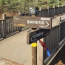 동산지하차도 이미지