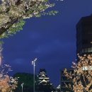 영원클린풀 | [공지] [일본 한 달 살기 모집] 액티브 5060를 위한 구마모토 한 달 살기 모집