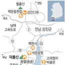 전라남도 강진 월하리 백운동원림 강진다원 옥판차 월남사지 이미지