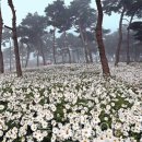 체육문화센터순환1 이미지