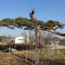 여주둥지공인중개사사무소 이미지