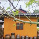 사랑한옥집 이미지