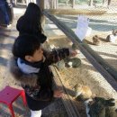 서우목장 이미지