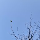 성모마취통증의학과의원 | 성모웰니스마취통증의학과의원(구 시청곧바른) 블로그가 생겼습니다!