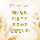 안산시 단원구 원곡동에서 새가족으로 등록하셨습니다. 이미지