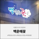 조둥27년 | [백운호수한식] 의왕쌈밥 맛집 백운애꽃 아이랑 저녁식사