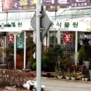 들꽃다육식물