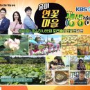 울미연꽃마을 이미지