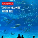 일본 오키나와 태교여행 자유여행 빅하투페어