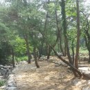 솔바람야영장 이미지