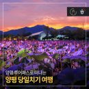 양평 투어패스로 떠나는 양평 당일치기