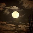 남매세탁소 이미지