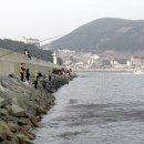 [조 황] 포항 울산 방파제 학꽁치'덥석덥석' 이미지