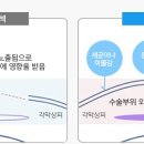 스마일시스템 이미지