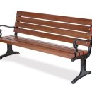 나무 206 이미지