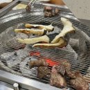 미동암소정 이미지