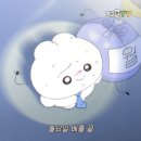 디자인오즈 이미지