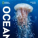 내셔널지오그래픽 - 정읍시 중앙로 129 | 2026 바다 전시 후기 내셔널지오그래픽 OCEAN 오션 가장 거대한 기록