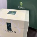 일본 도쿄 여행 2/3.
