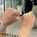 컴사바 | 싱그러운 초여름 이야기