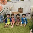 버블룸