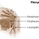 원당경희한의원 이미지