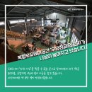 보령유기농법인