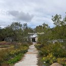 스타벅스기장임랑점 | 부산 기장 스타벅스 추천! 임랑해변점 후기 &amp; 꿀팁