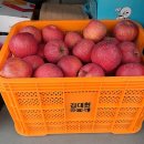 창기농장 이미지