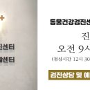 웰케어 동물건강검진센터·동물한방재활센터 이미지