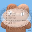 하니하우스 이미지