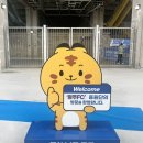 2020 K리그1 파이널 서울vs강원 | 2025 K리그1 스플릿 확정! K리그 파이널라운드 관전 포인트