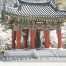 스테이 732 이미지