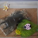 여주곤충박물관 이미지